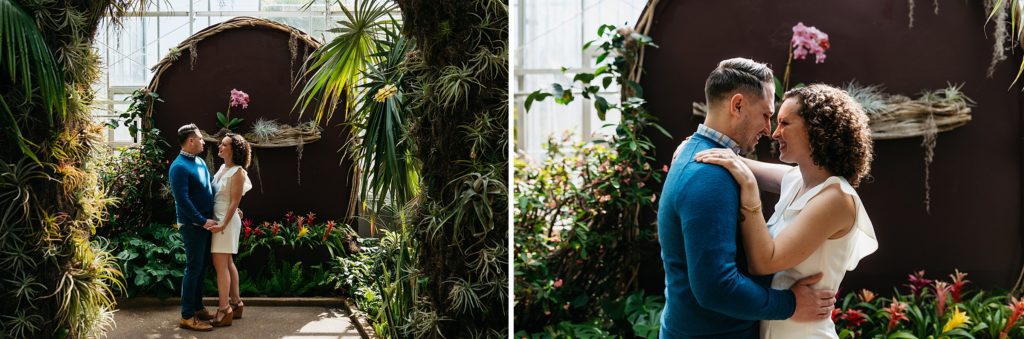 two photographs of lauren and matthew at their daniel stowe botanical garden engagement session in the orchid greenhouse