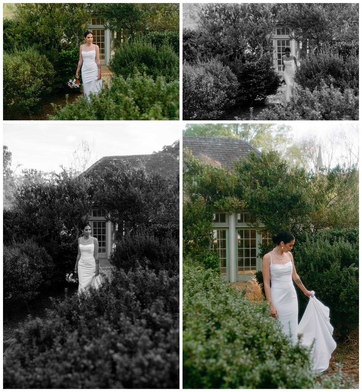 shrubbery frames bride walking along path by Charlotte wedding photographer